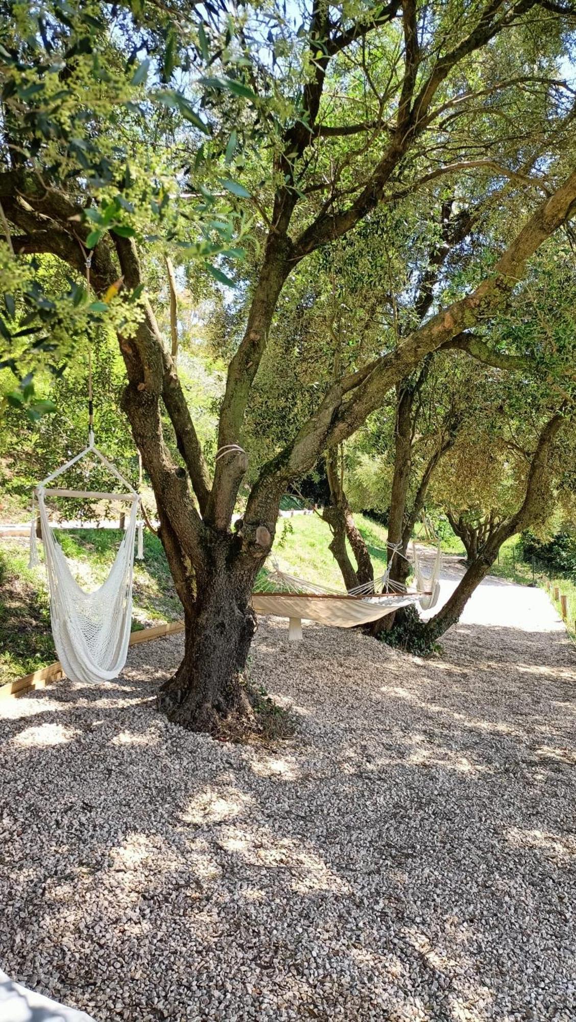 Tuffudesu Experience (Adults Only) Bed & Breakfast Osilo Dış mekan fotoğraf